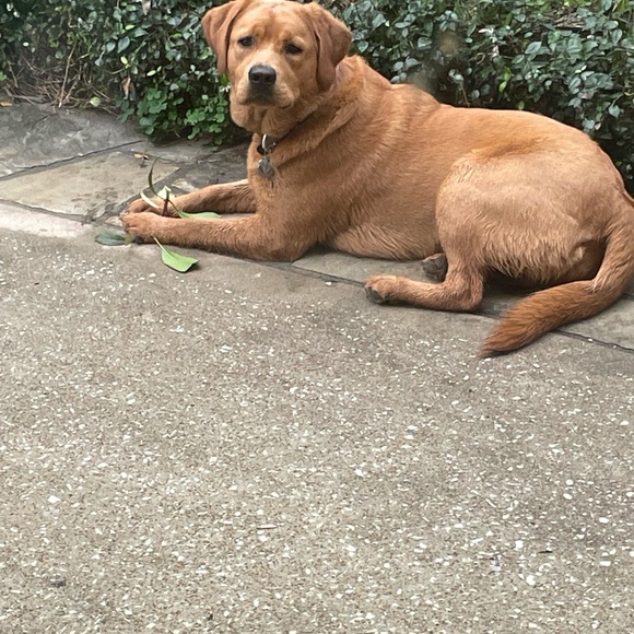 Meet your Posher, Patty - Picture 4 of 7